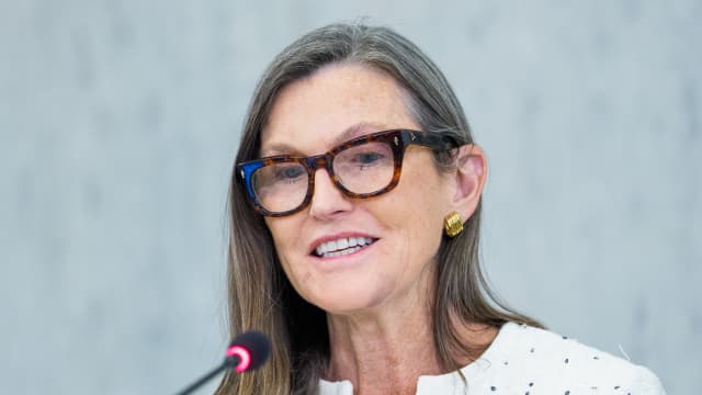 凯茜·伍德舍弃Reddit，转投彼得·蒂尔支持的数字货币股票