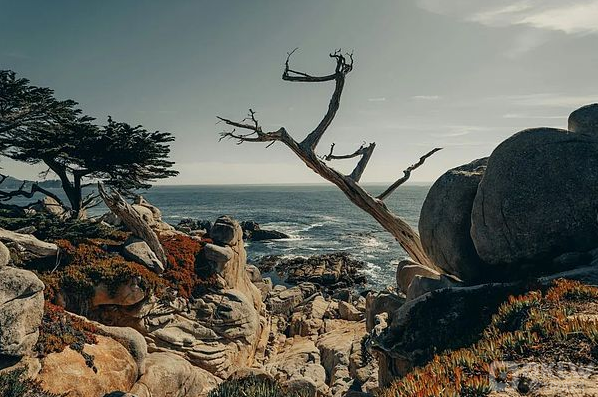 链上现实主义：区块链技术开启虚拟与现实融合的新纪元