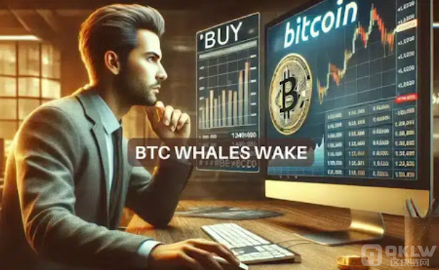 日本金融厅政策松绑：无推广托管钱包合法化助推Web3革新