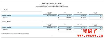 什么是灰度基金?