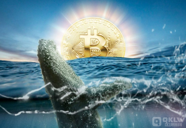 大选门外的加密巨鲸：区块链怎么样悄然影响美国政坛