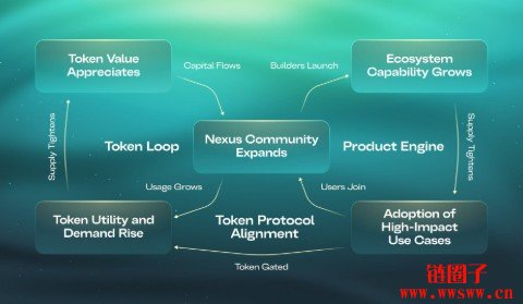 什么是Talus/US币？US代币经济学和工作原理