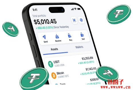 美元T买卖APP官方网站与下载入口解析：数字钱包指南