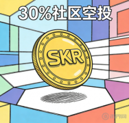 SKR加密代币即将发
