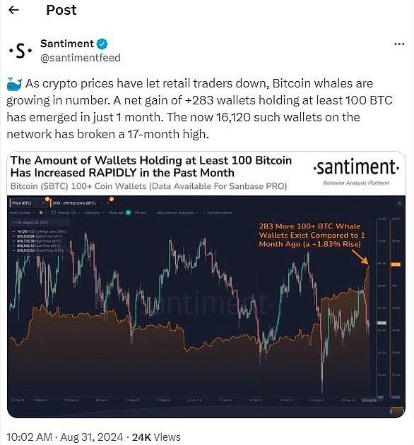 BTC持有量创17个月新高：持有100 比特币以上的钱包数目大幅增加