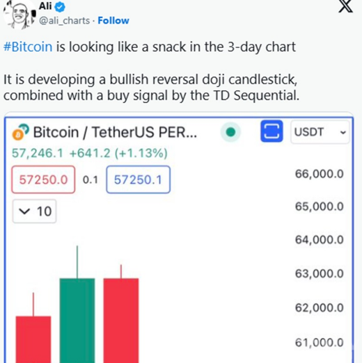 PlayDoge预售在市场低迷中达550万USD　下个牛市顶级数字货币选择？