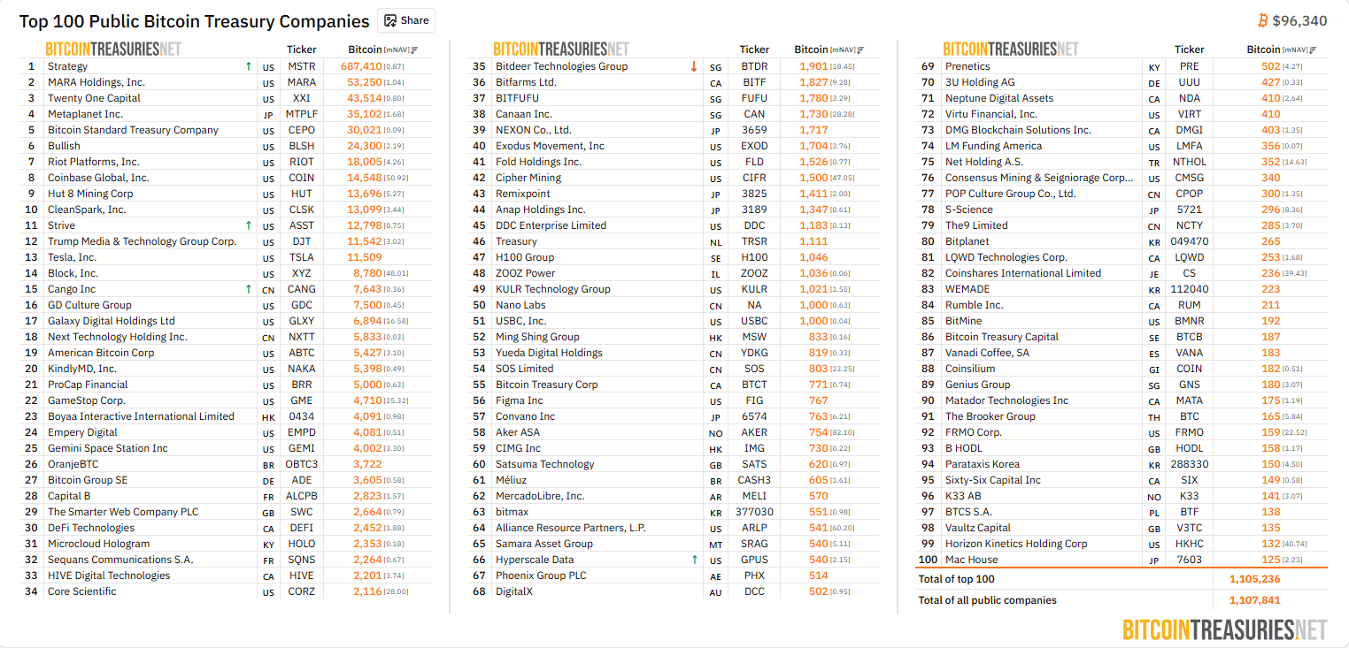 Public Companies Holding Bitcoin/BitcoinTreasuries
