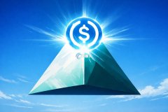 美元C将成官方支付！税收、公共服务全方位搬上区块链