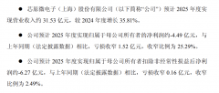 国产定制芯片龙头芯原股份：预计全年亏损同比收窄25%，营收同增36%，人工智能