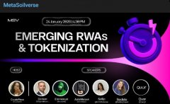 MSVP代币发行日期：空投50万枚代币后，MSVP代币价格大概达到1USD吗？