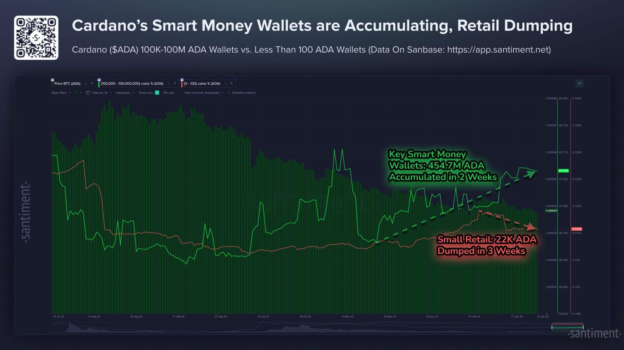 Cardano Smart Money Accumulation