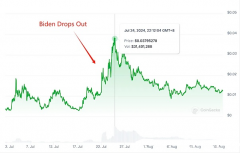 哈里斯是不是能取