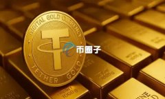 2025年第四季通过黄金代币化商品XAUT增持27吨黄金